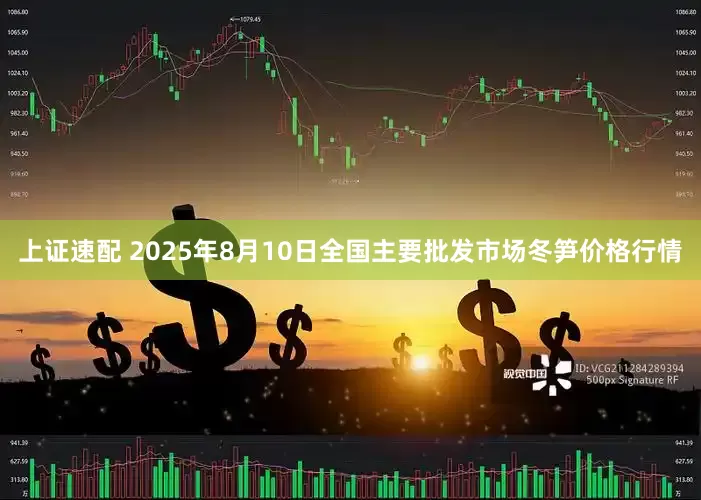上证速配 2025年8月10日全国主要批发市场冬笋价格行情